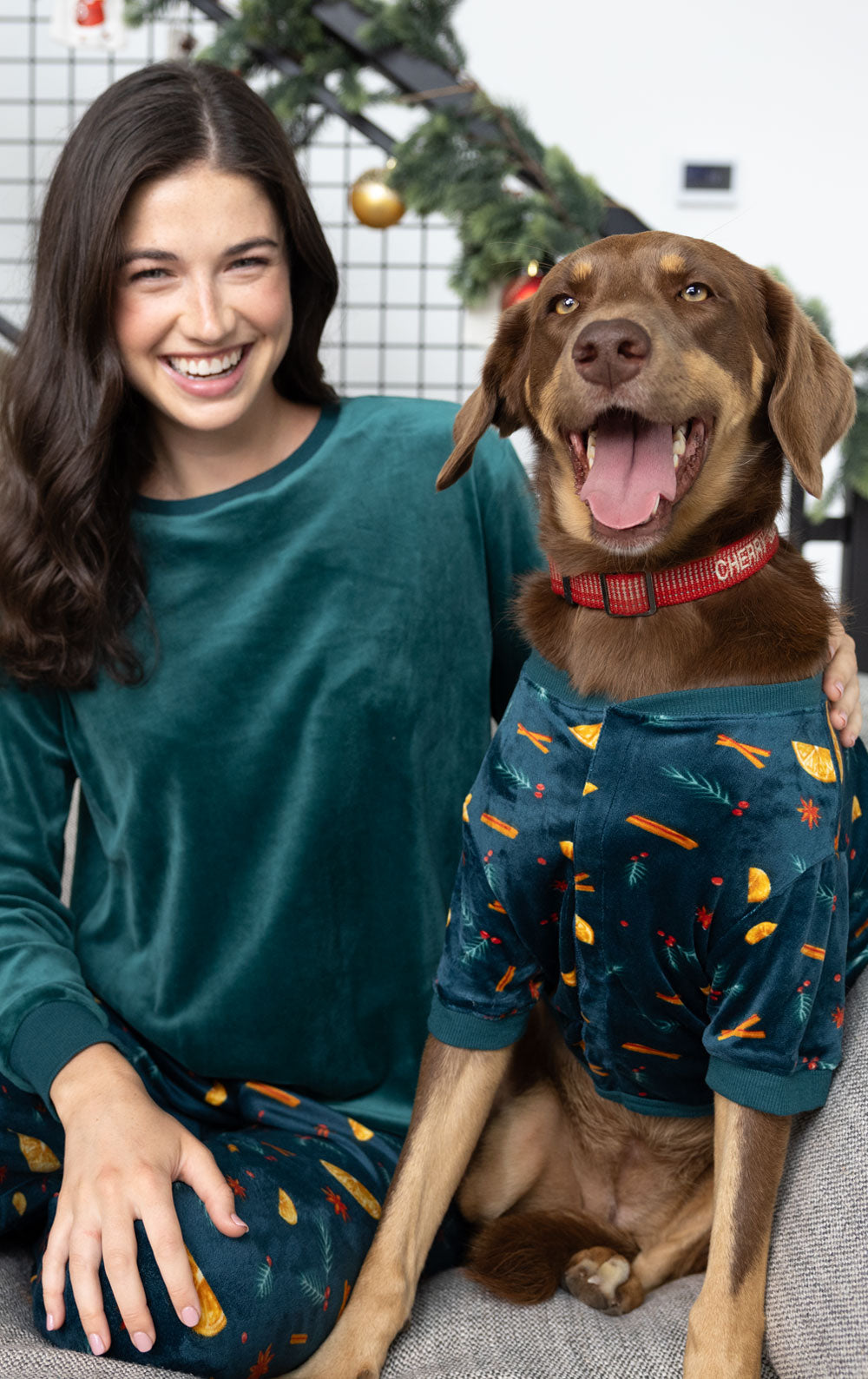 Dog Matching Pajamas Target Pet Christmas Pajamas Target Dog