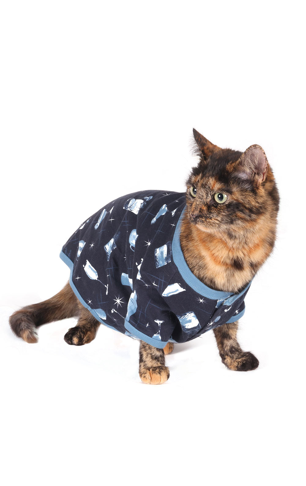 Making Spirits Bright Pet Pajamas