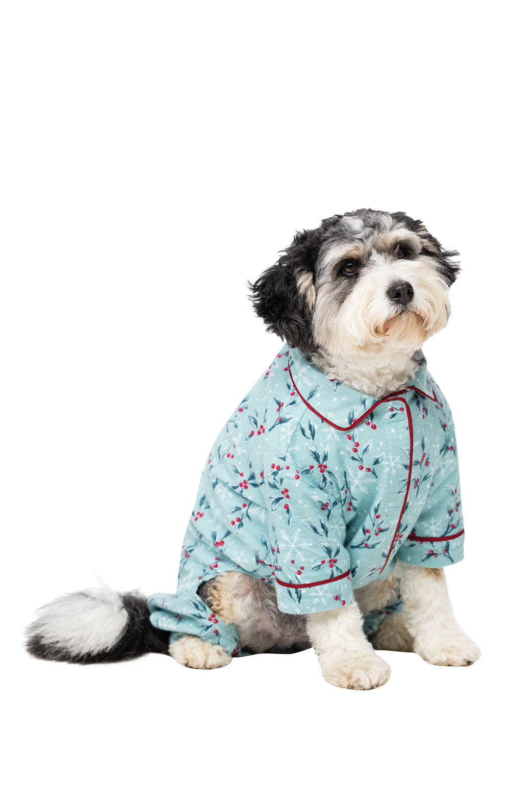 Holiberry Pet Pajamas - Final Sale