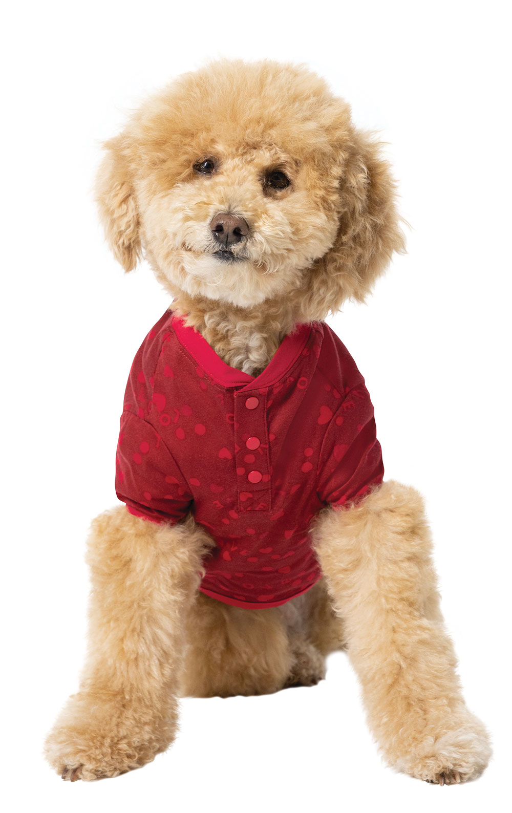 Sweet Love Pet Pajamas