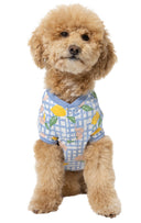 Countryside Gingham Pet Pajamas - Family Set