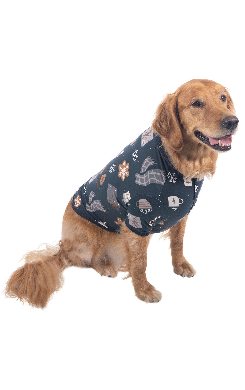 Sweet Comforts Pet Jersey Pajamas - Family Set