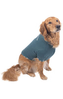 Coffee Dogs Pet Pajamas - Pet & Owner 2