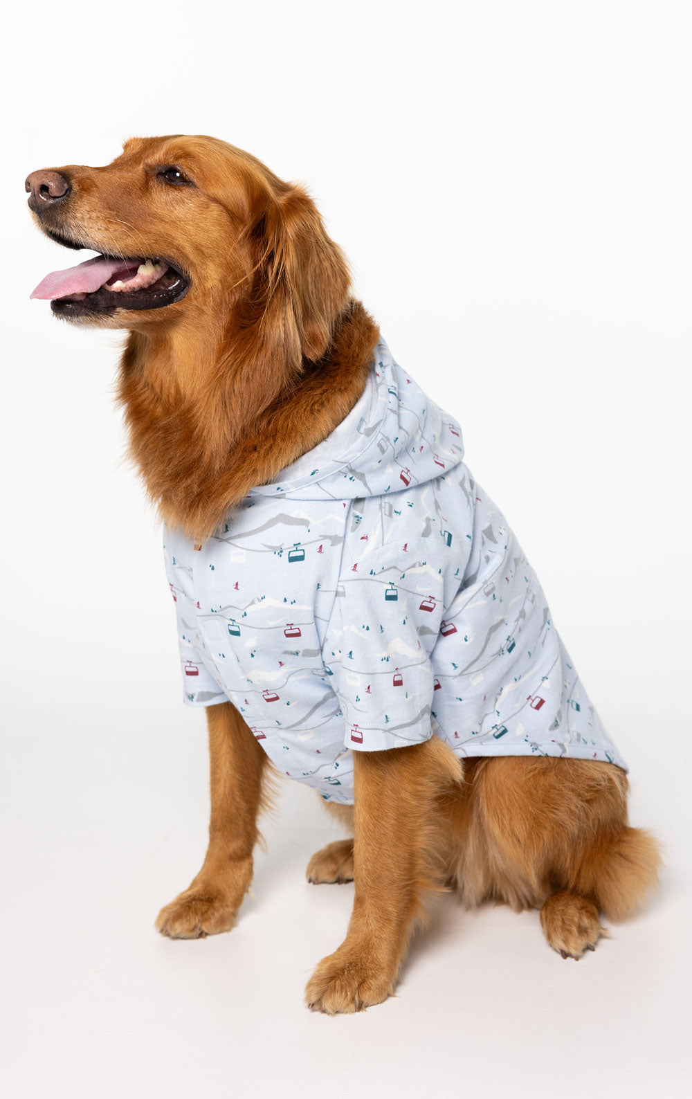 Apres Ski Pet Pajamas