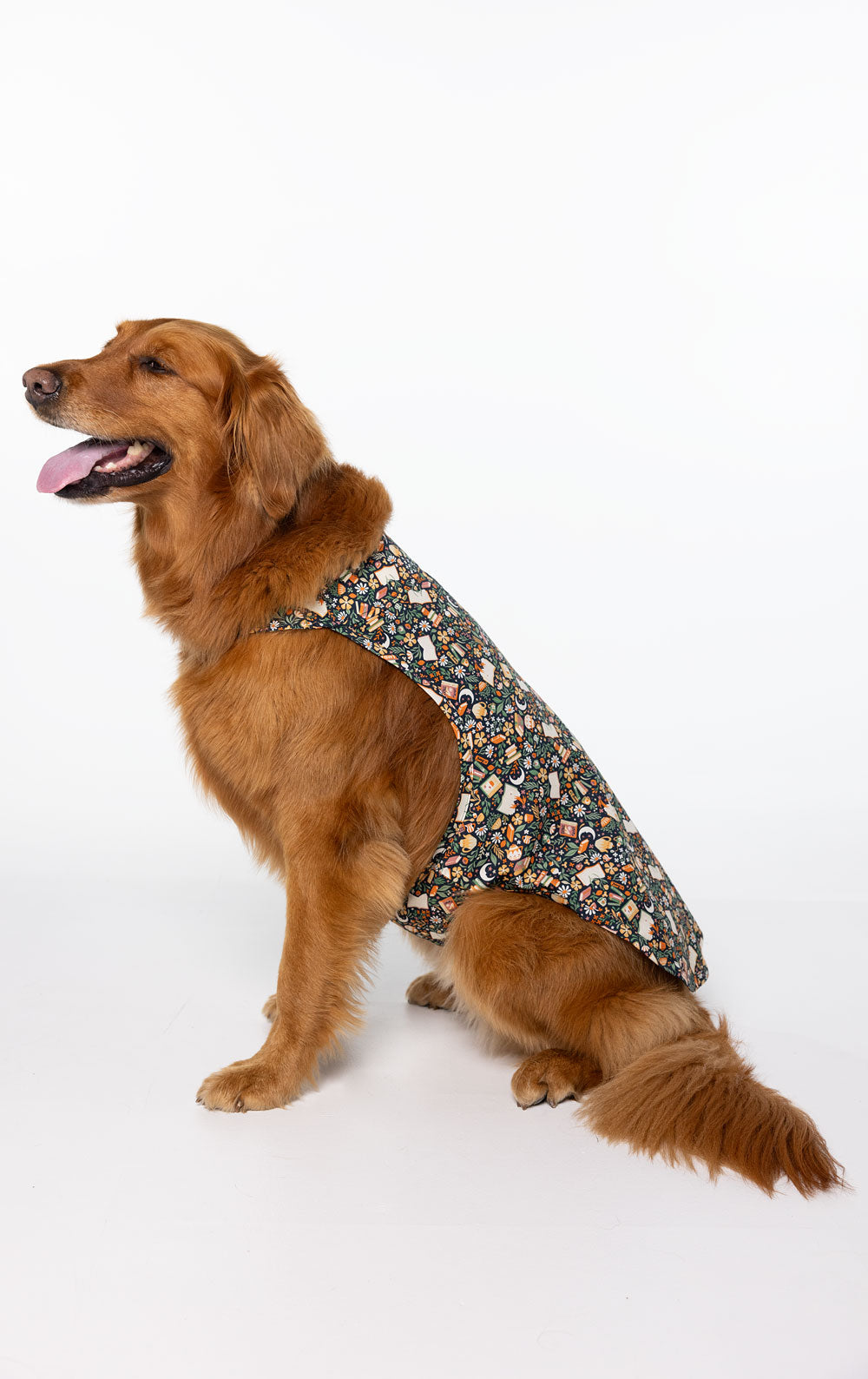 Rested Cotton Pet Pajamas – Cozy Reader  