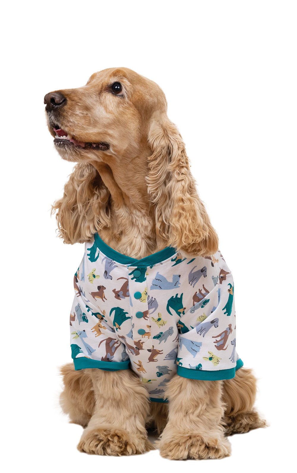 "Dogs Are My Favorite" Dog Pajamas
