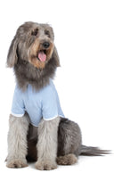 Fur Baby Dog Pajamas - Pet & Owner