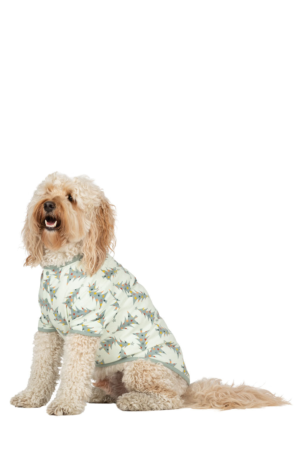 Balsam & Pine Pet Pajamas - Pet & Owner