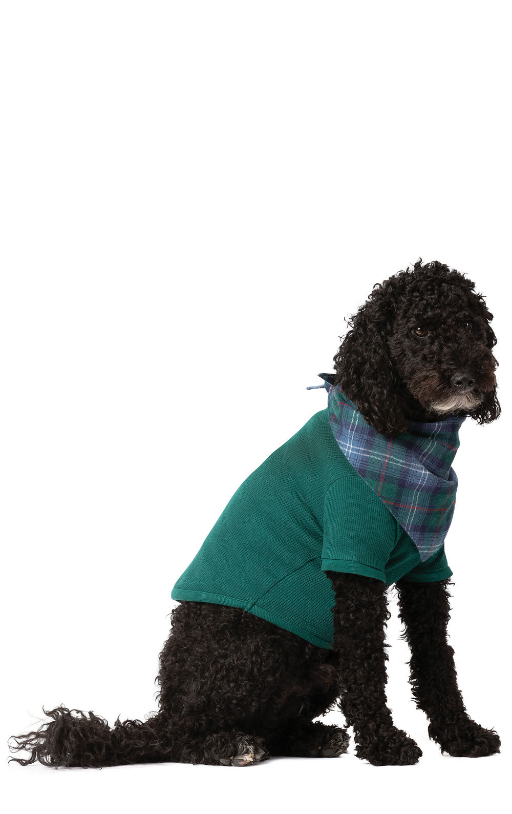 Heritage Plaid Thermal Pet Pajamas