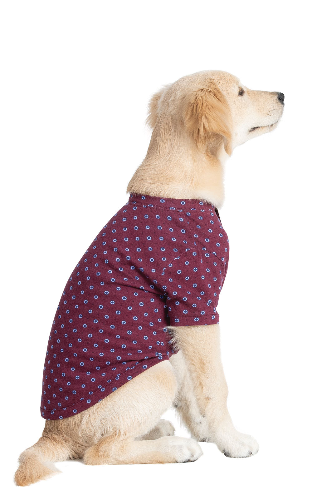 Foulard Pet Pajamas - Final Sale