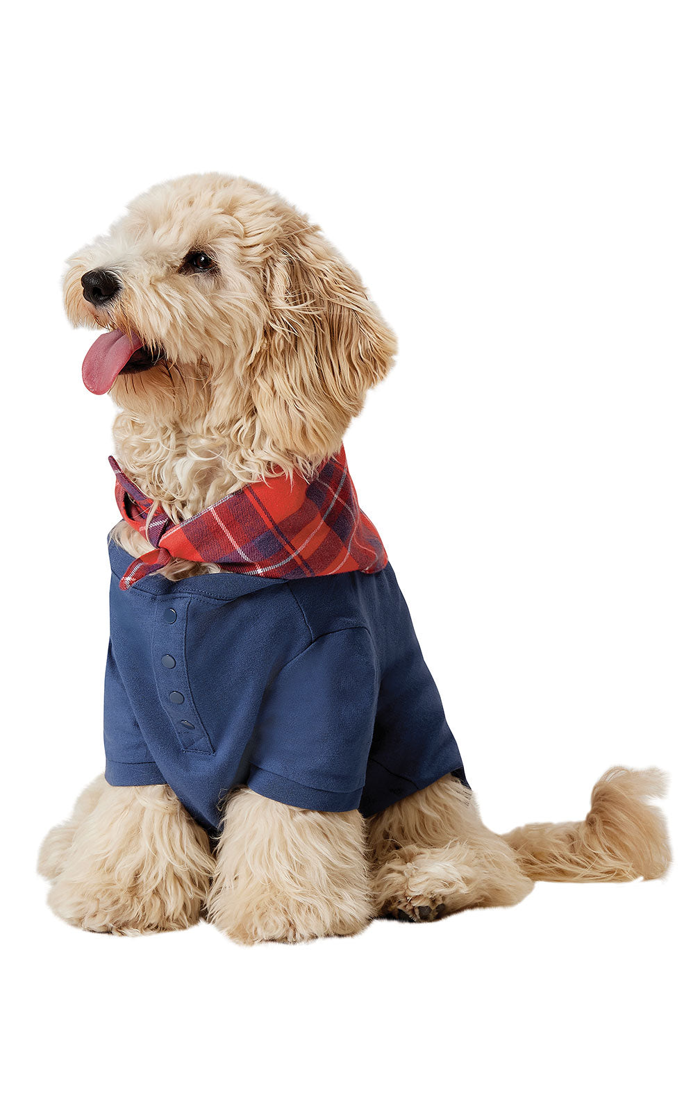 Americana Plaid Pet Pajamas